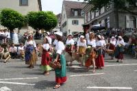 IMG_6536 (2) 